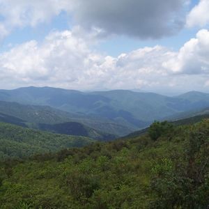 Meet your Posher, Becky